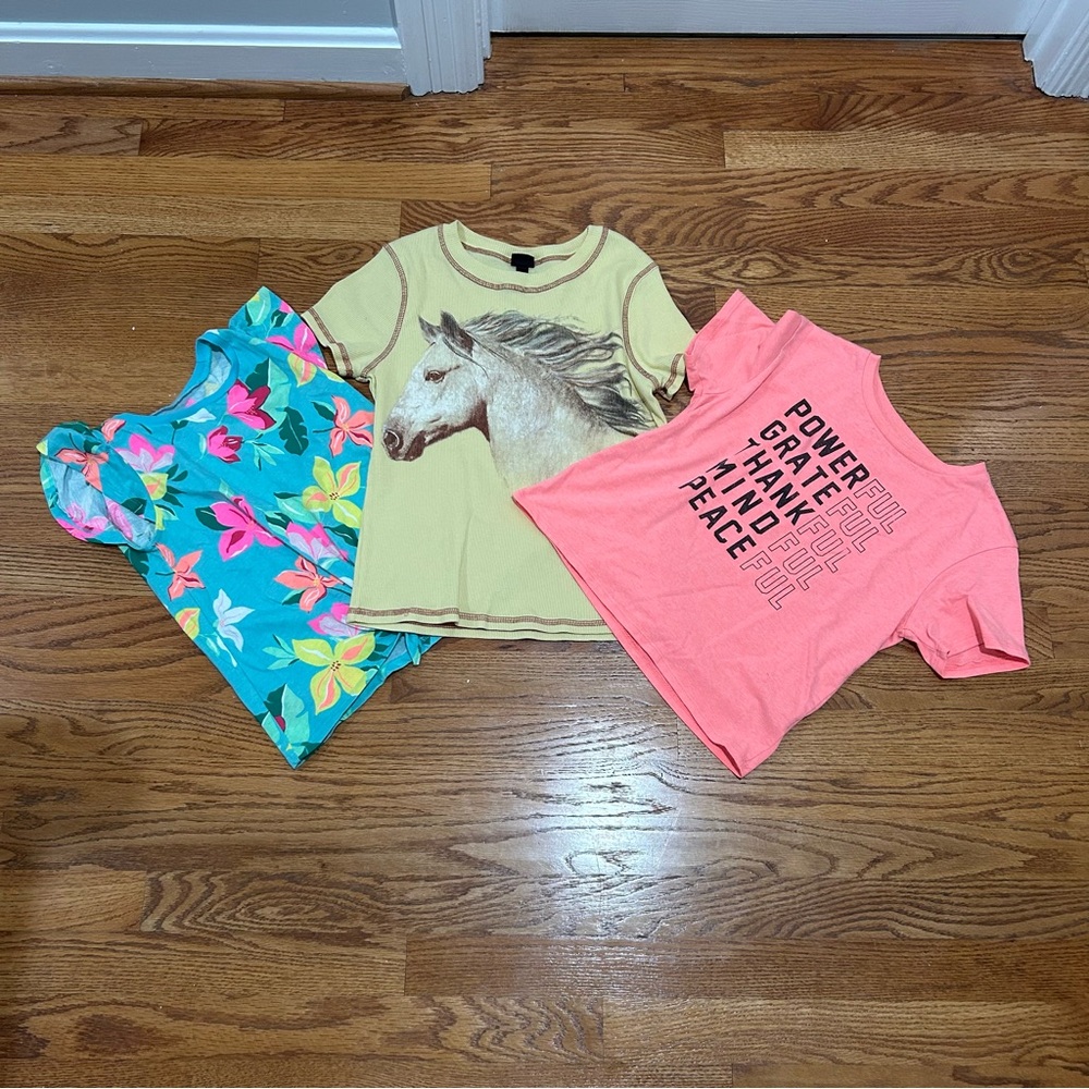 3 t-shirts from different brands. There are two mediums and one large.